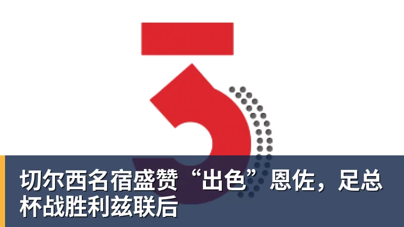 切尔西名宿盛赞“出色”恩佐,足总杯战胜利兹联后