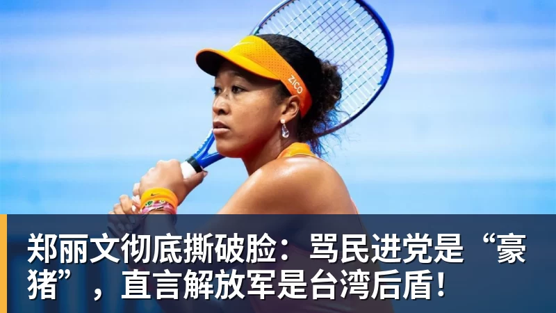 郑丽文彻底撕破脸：骂民进党是“豪猪”，直言解放军是台湾后盾！